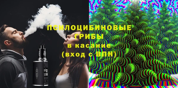 шишки Абинск