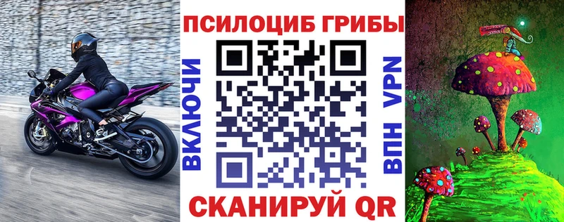 Псилоцибиновые грибы MAGIC MUSHROOMS  Кисловодск 