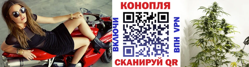 закладка  даркнет как зайти  Каннабис SATIVA & INDICA  Кисловодск 